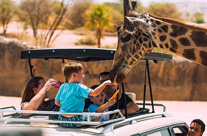 Зоопарк Al Ain Zoo в Аль Айне / ОАЭ / Аль Айн