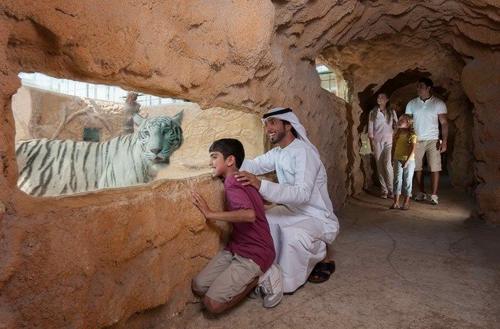 Эмиратский зоопарк (Emirates Park Zoo) / ОАЭ / Абу Даби