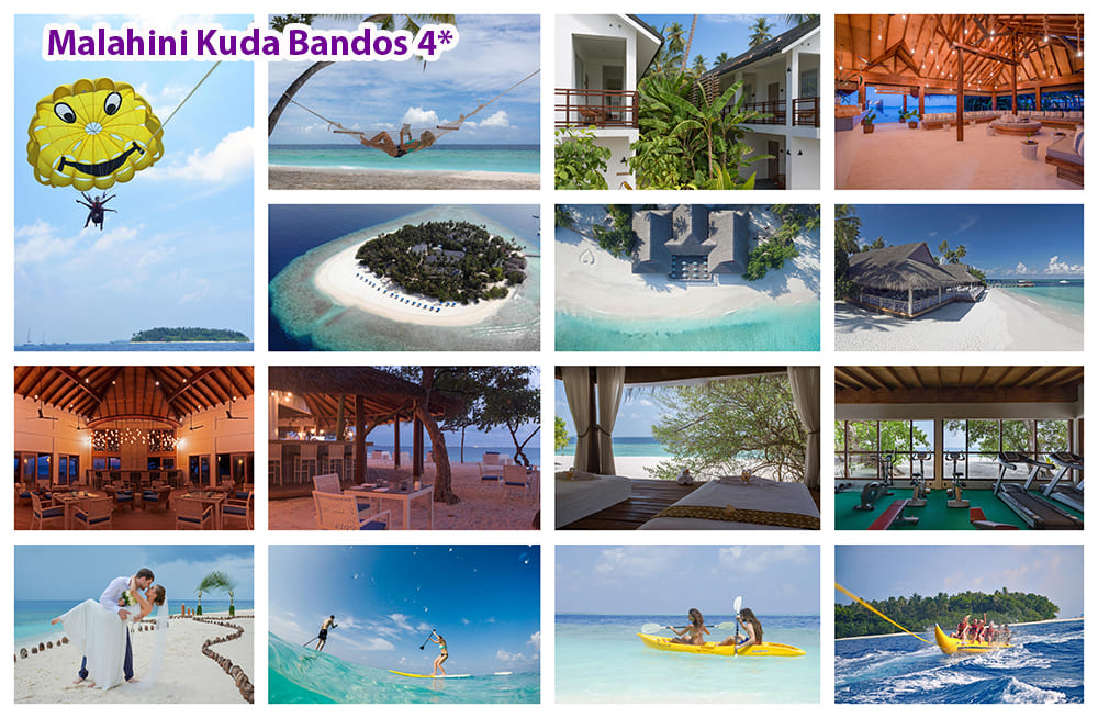 malahini-kuda-bandos-4a.jpg