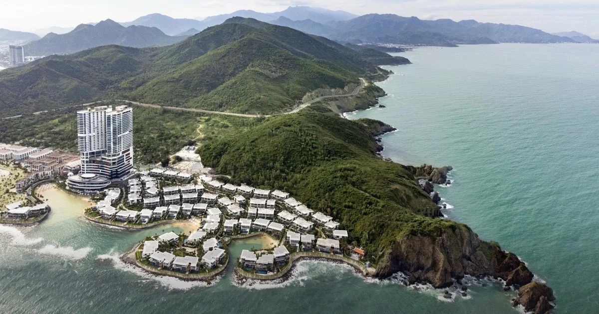 7-melia-aurea-1 — крупный размер.jpeg 7-melia-aurea-1 — крупный размер.jpeg