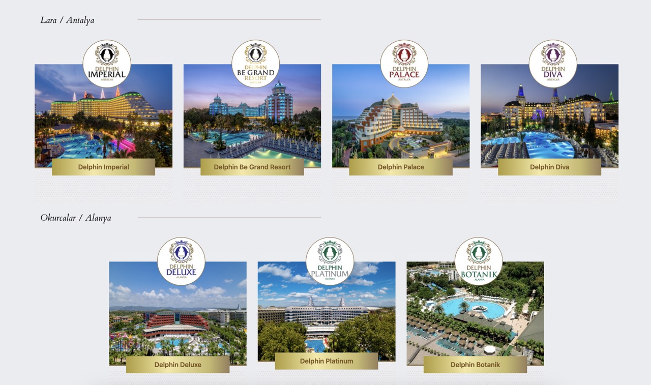 delphin-website&nbsp; крупныи размер.jpeg
