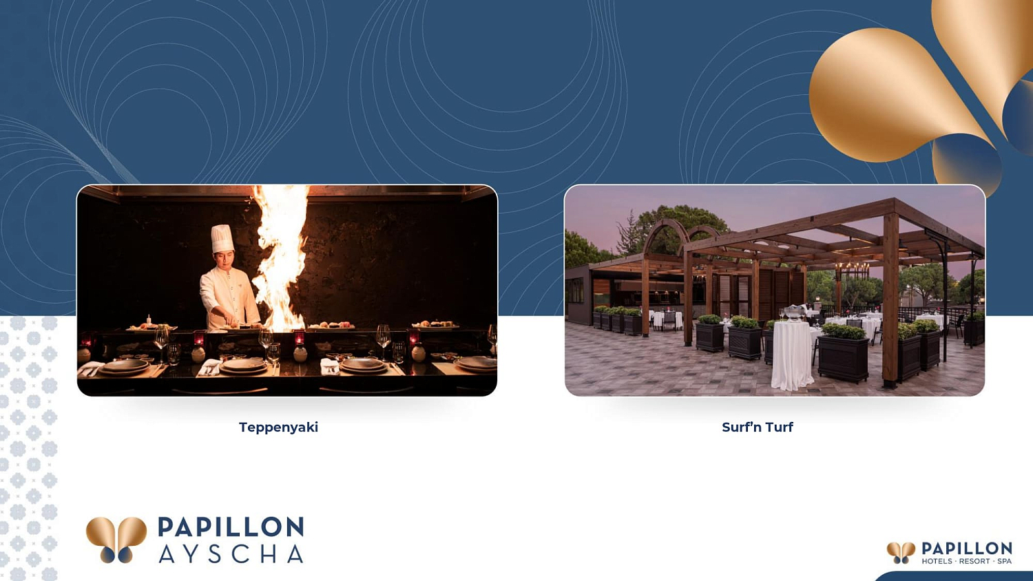 Papillon hotels