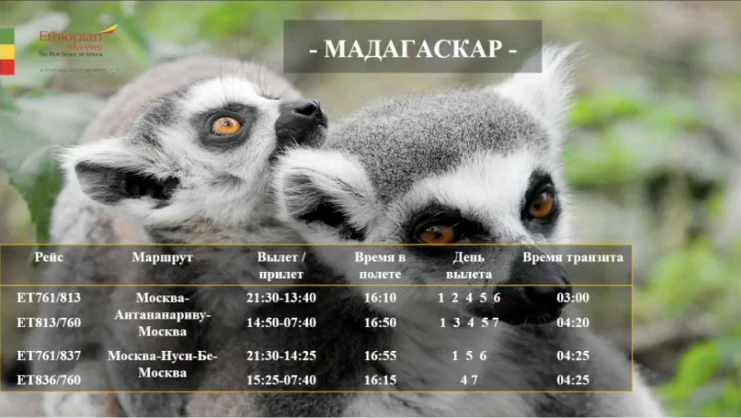 Авиакомпания Ethiopian Airlines