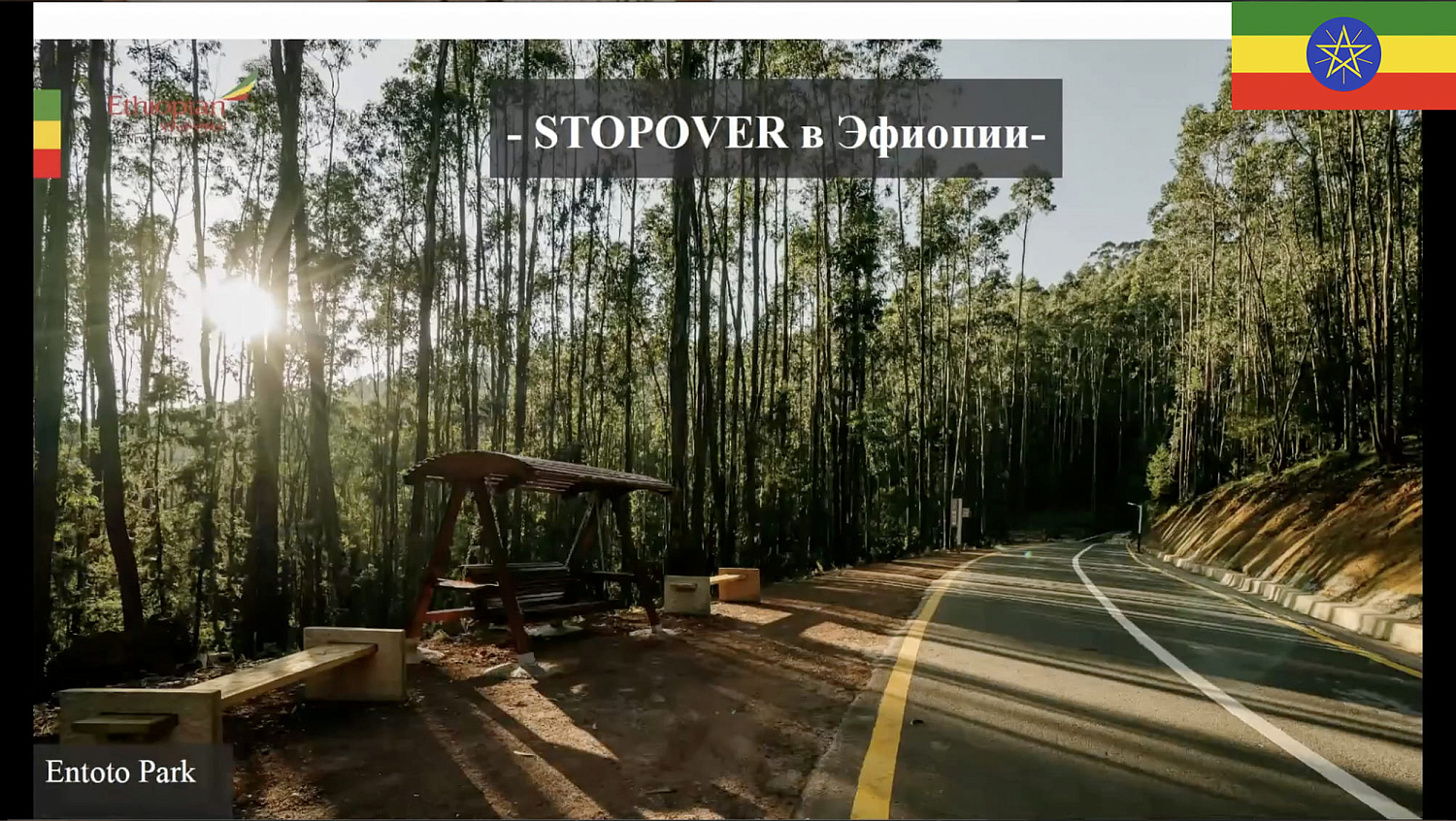 Авиакомпания Ethiopian Airlines