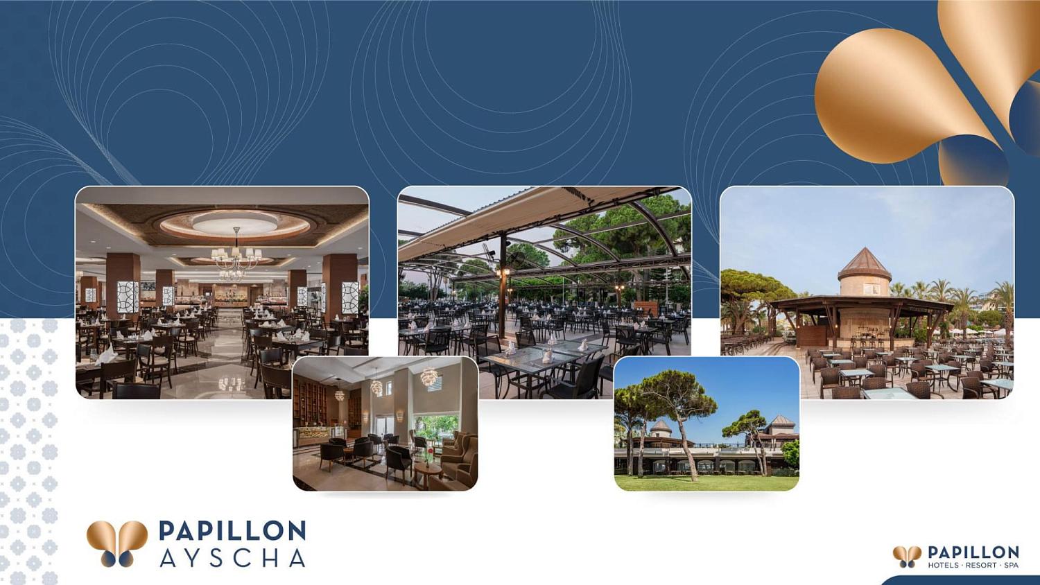 Papillon hotels