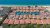 Jumeirah Zabeel Saray 5*