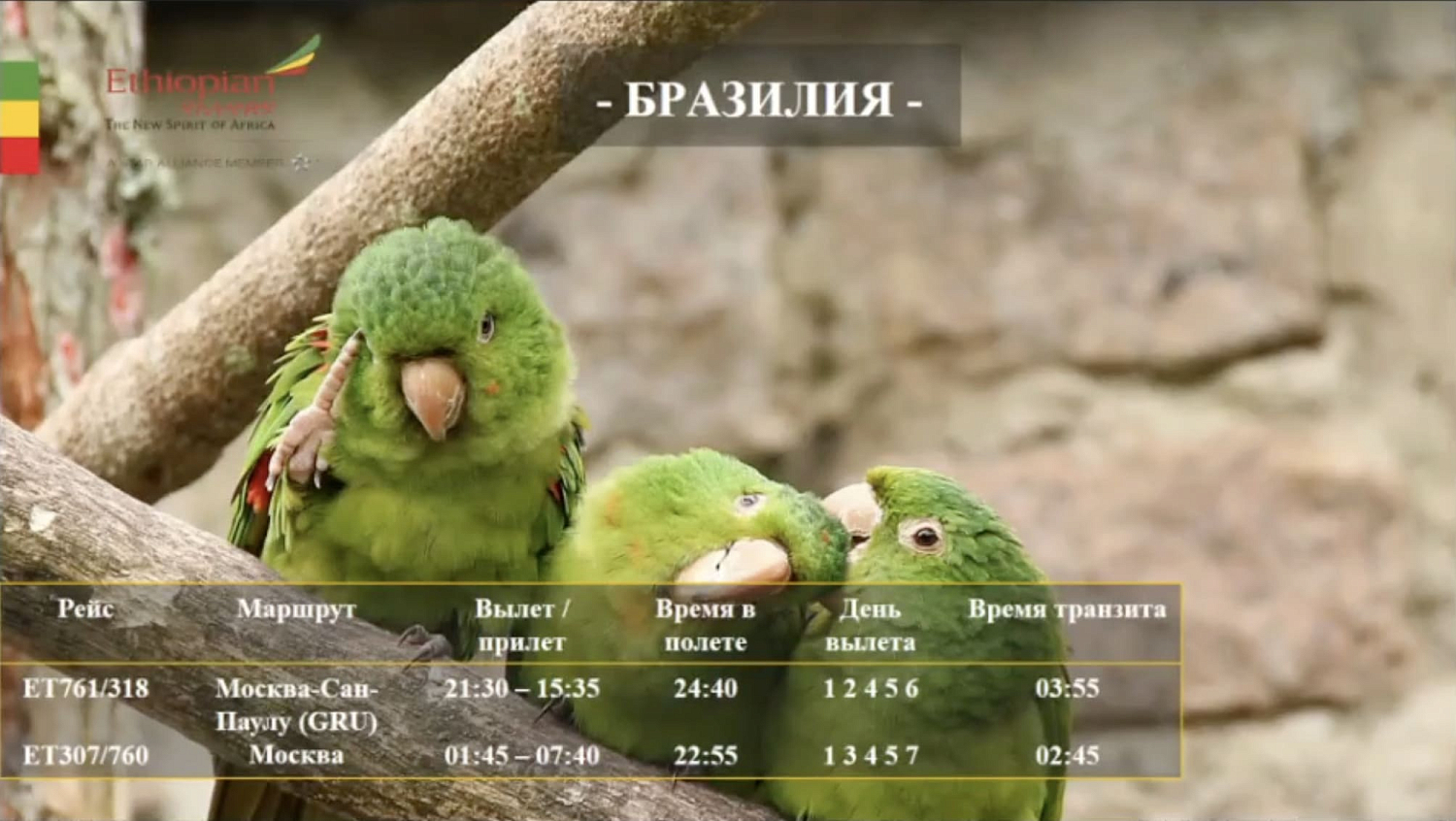 Авиакомпания Ethiopian Airlines