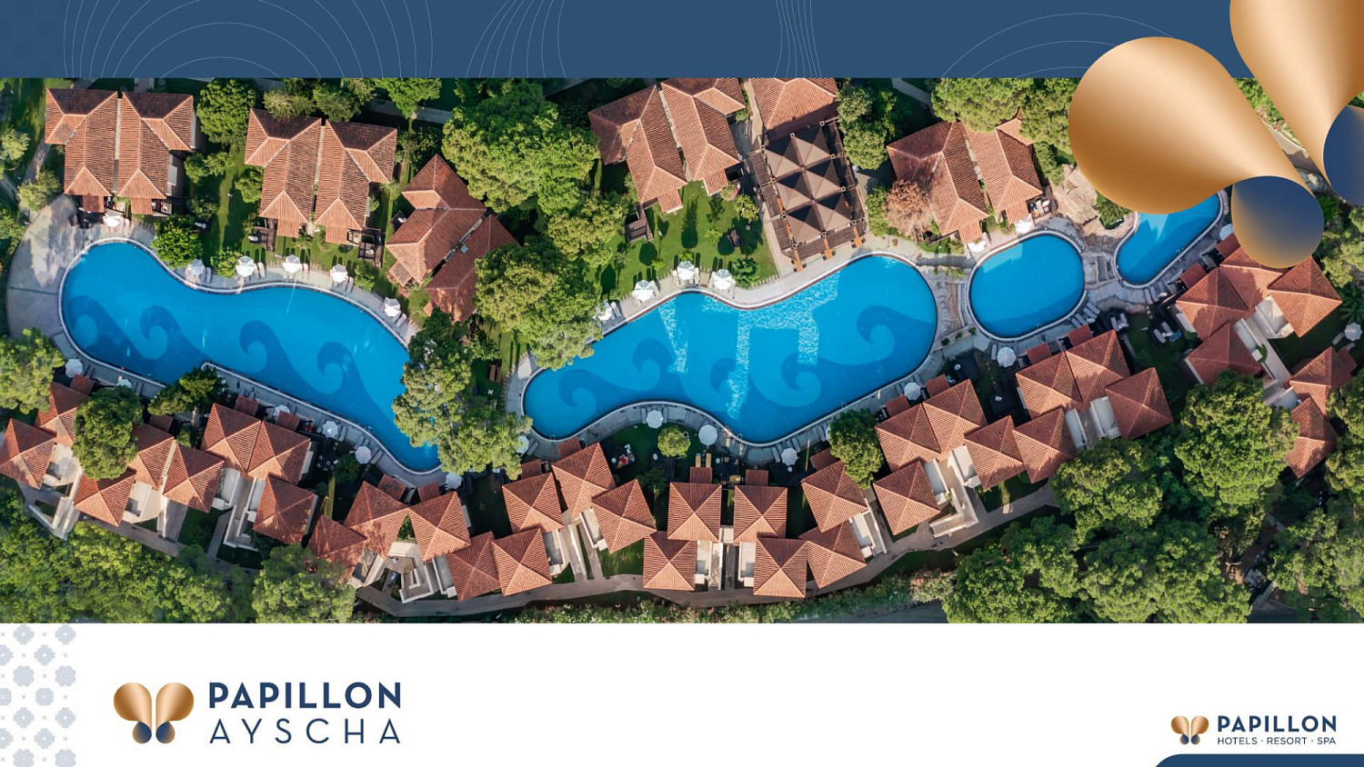 Papillon hotels