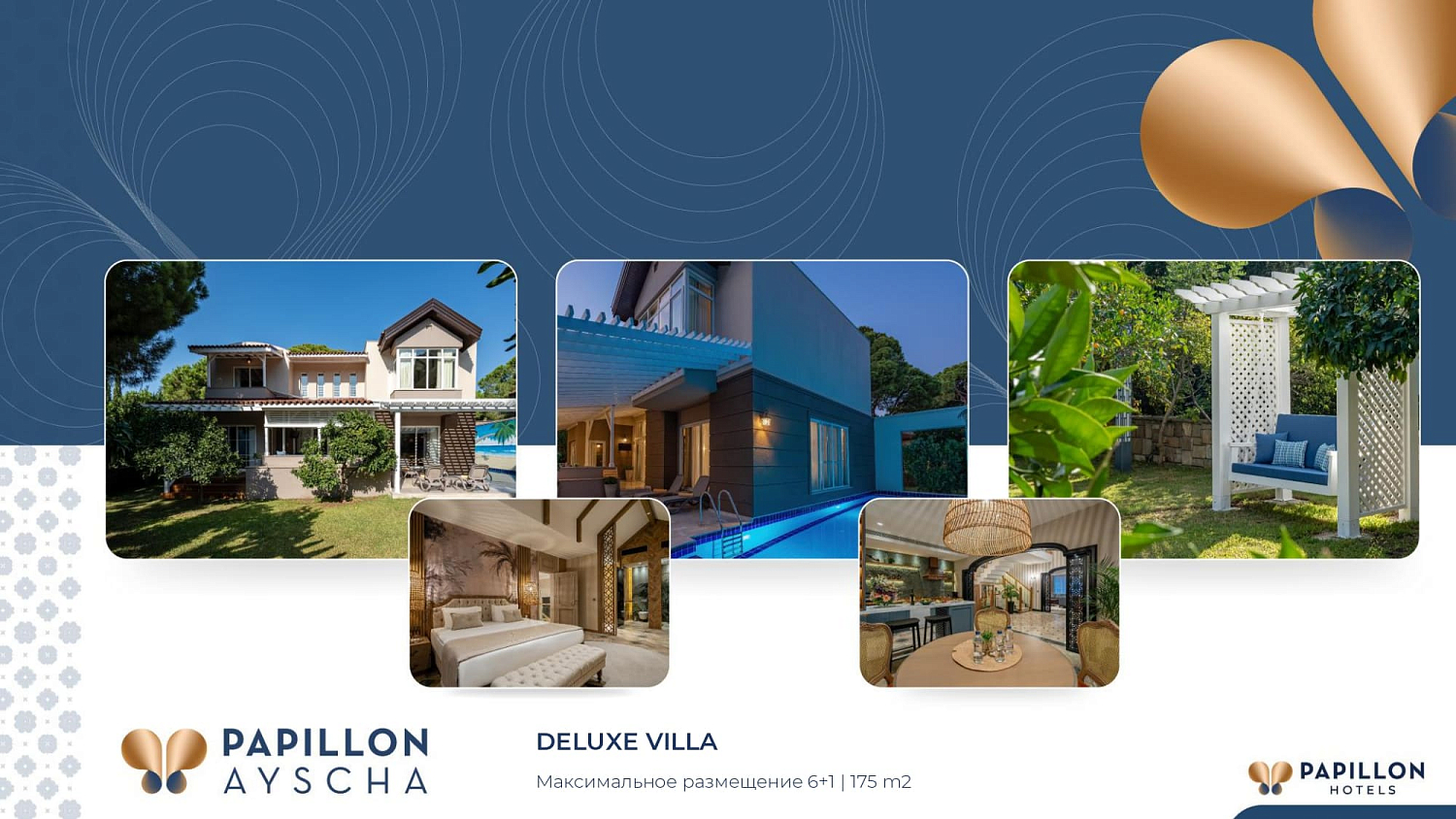Papillon hotels
