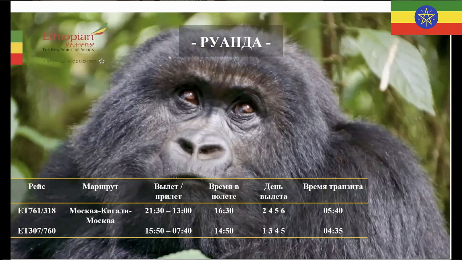 Авиакомпания Ethiopian Airlines