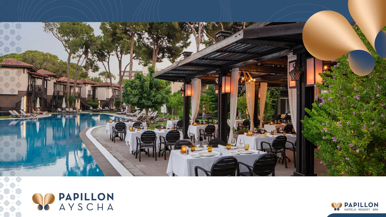Papillon hotels