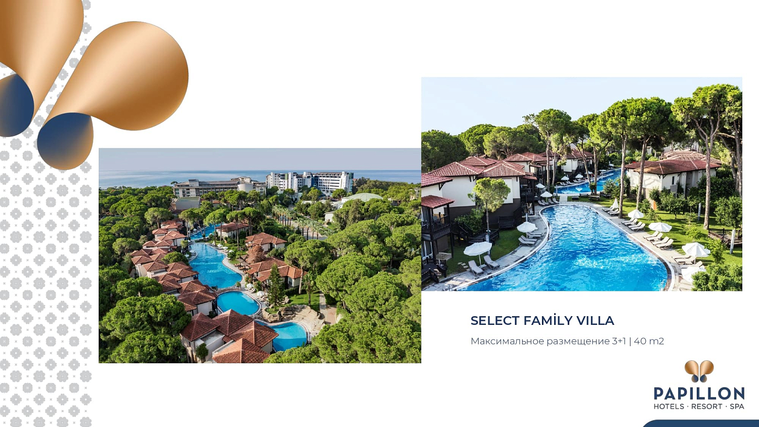 Papillon hotels