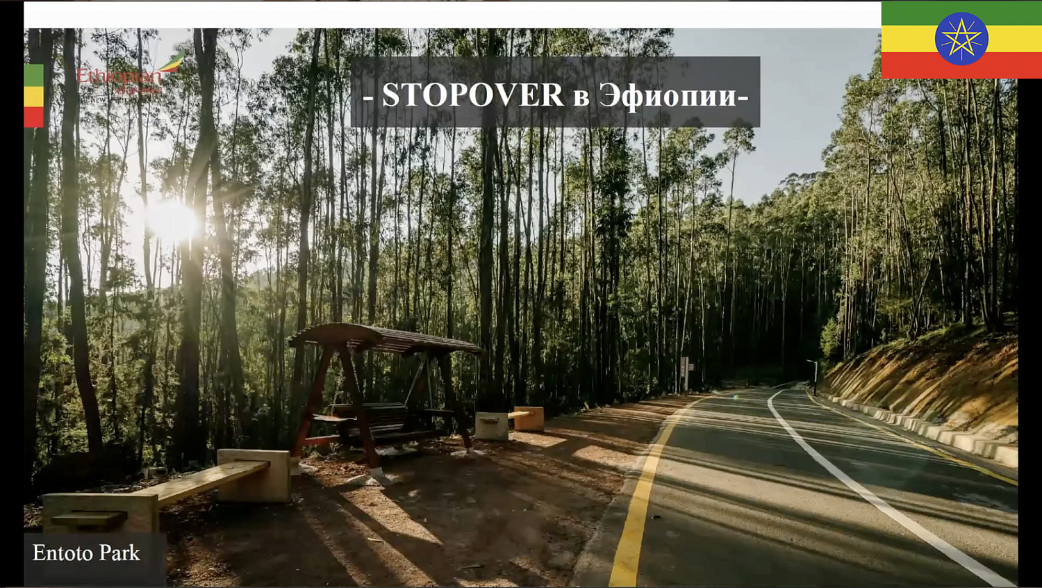 Авиакомпания Ethiopian Airlines