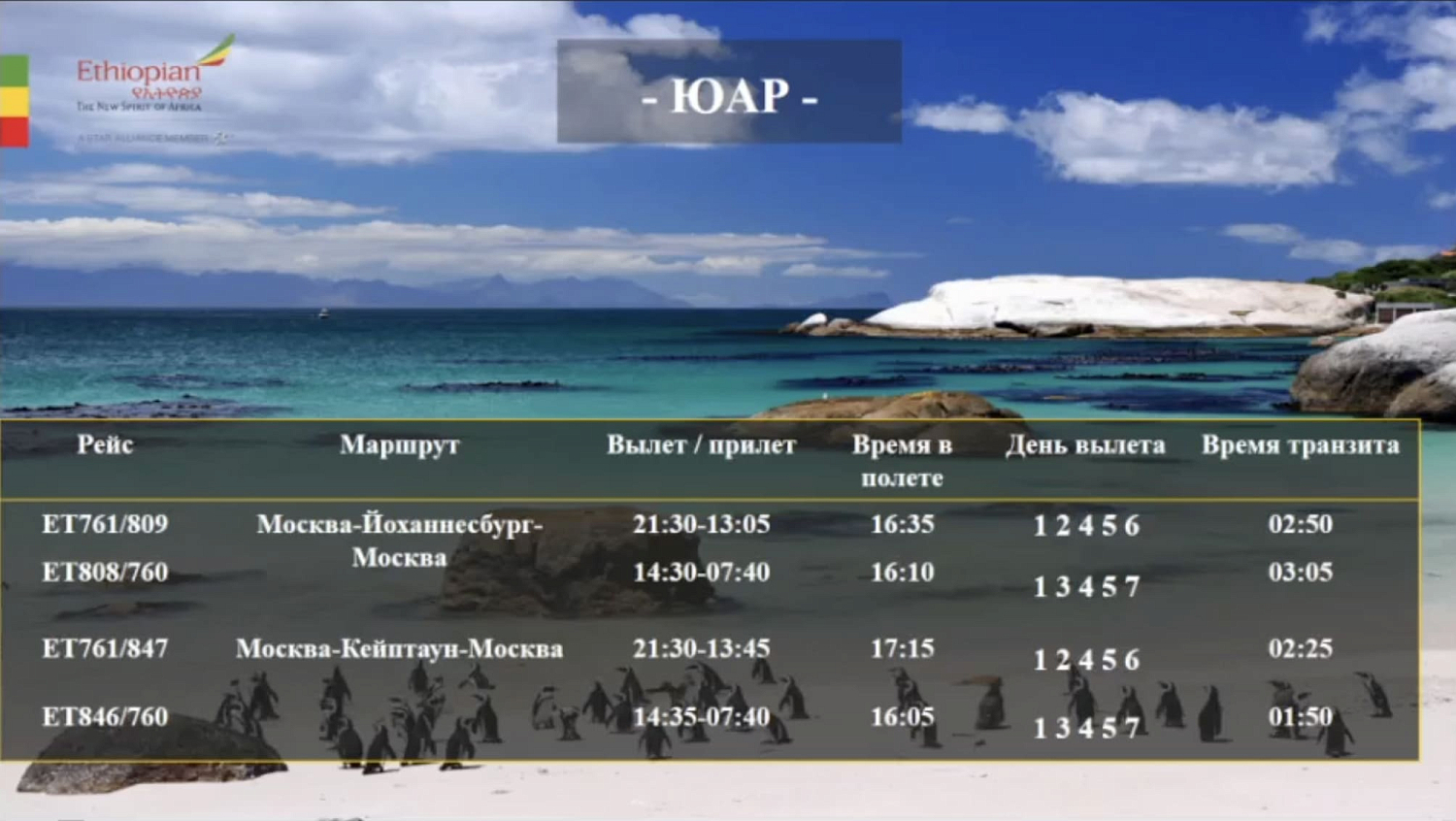 Авиакомпания Ethiopian Airlines