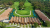 Турция, Белек, Kempinski The Dome 5*: Lagoon Suite с видом на гольф-поля