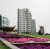 Ramada Beach Hotel Ajman 4* / ОАЭ / Аджман /