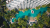 Sheraton Sanya Yalong Bay Resort 5* / Китай / о. Хайнань / Ялонг Бэй (Ялунвань)