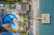 Kirman Sidera Luxury & Spa 5* / Турция / Аланья / Окурджалар-1 (Карабурун)
